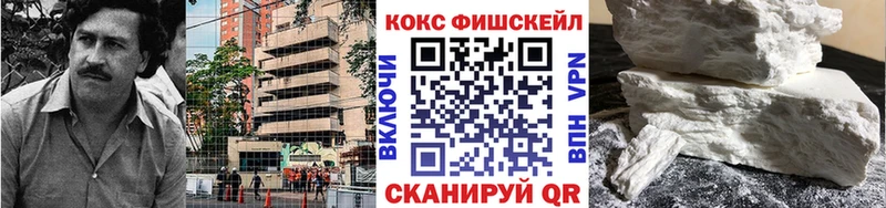 где купить наркоту  Нижняя Тура  КОКАИН Fish Scale 