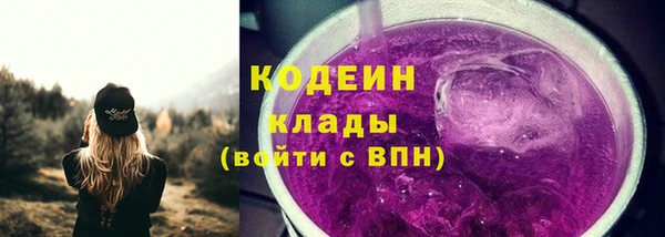 твердый Иннополис