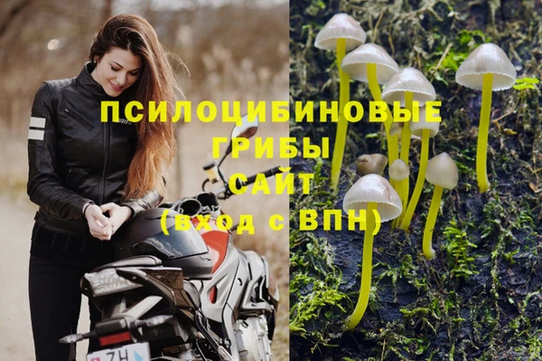гидропоника Абдулино