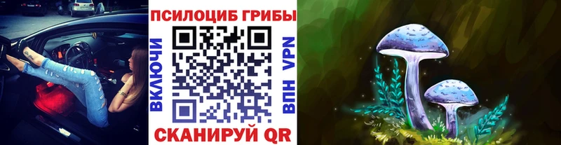 blacksprut рабочий сайт  Нижняя Тура  Псилоцибиновые грибы Psilocybine cubensis 